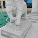 桂林 白麻花岗岩动物异形石雕-大象