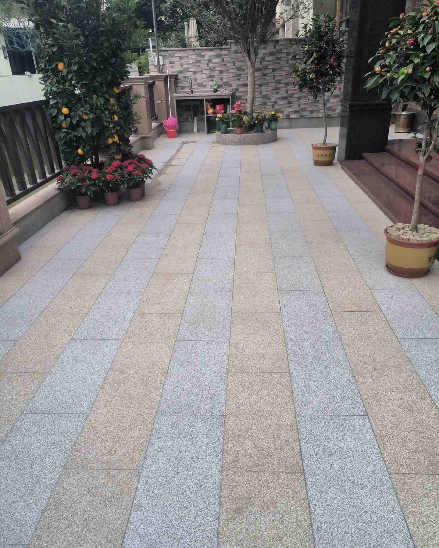 桂林 黄金麻白麻荔枝面庭院铺装展示